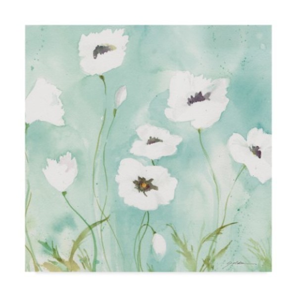Trademark Fine Art Sheila Golden 'Field Of White Poppies' Canvas